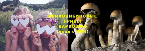 бошки Богородск