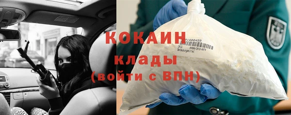ПСИЛОЦИБИНОВЫЕ ГРИБЫ Богданович