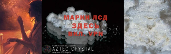 ПСИЛОЦИБИНОВЫЕ ГРИБЫ Богданович