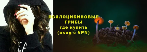 бошки Богородск
