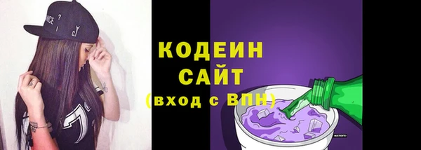 ПСИЛОЦИБИНОВЫЕ ГРИБЫ Богданович