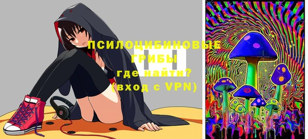 ПСИЛОЦИБИНОВЫЕ ГРИБЫ Богданович
