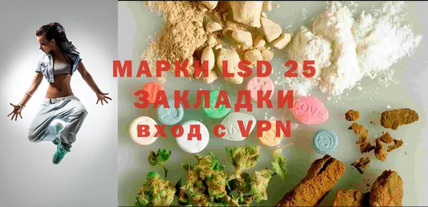 ПСИЛОЦИБИНОВЫЕ ГРИБЫ Богданович
