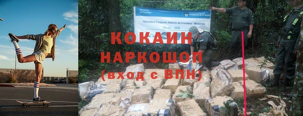 ПСИЛОЦИБИНОВЫЕ ГРИБЫ Богданович