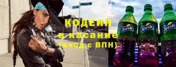ПСИЛОЦИБИНОВЫЕ ГРИБЫ Богданович