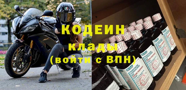 ПСИЛОЦИБИНОВЫЕ ГРИБЫ Богданович