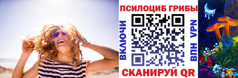 Купить закладки  Партизанск  Псилоцибиновые грибы ЛСД 
