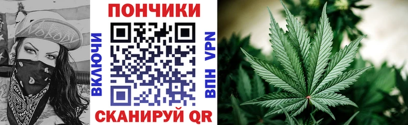 Бошки Шишки семена  Купить закладки  Партизанск 